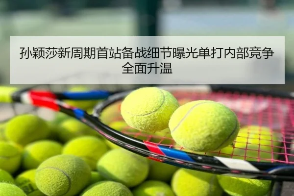 孙颖莎新周期首站备战细节曝光单打内部竞争全面升温