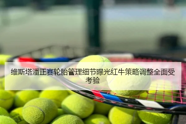 维斯塔潘正赛轮胎管理细节曝光红牛策略调整全面受考验