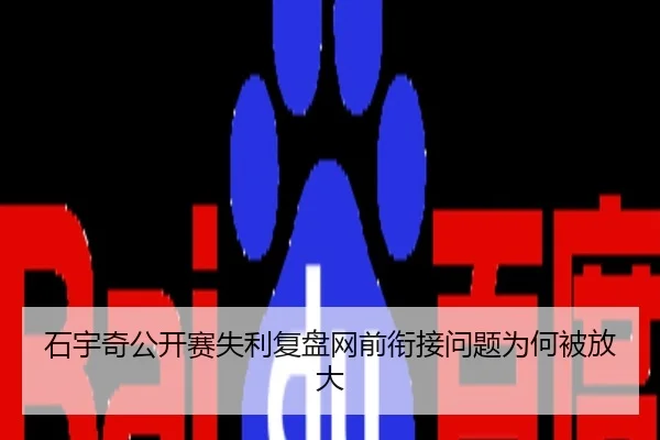 石宇奇公开赛失利复盘网前衔接问题为何被放大