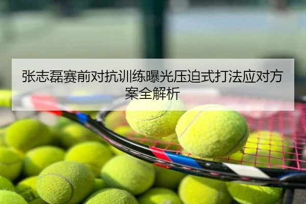 张志磊赛前对抗训练曝光压迫式打法应对方案全解析